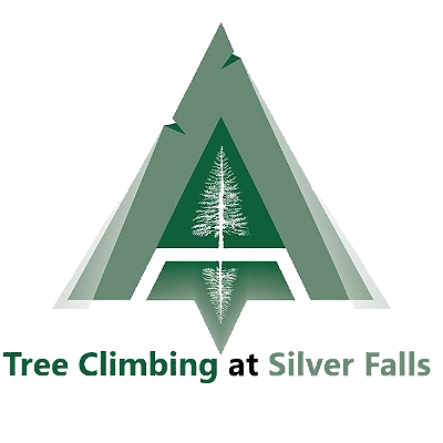 Kids Tree Climbing Camp